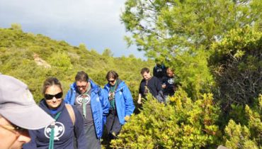 7 Vales Suspensos - trilho entre aroeiras e pinheiros|7 Vales Suspensos - leixão do ladrão Costa de Lagoa|7 Vales Suspensos - praia de Benagil