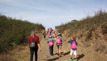 A caminho de Cachopo|O início da aventura na Via Algarviana_2|A preencher a paleta com cores da natureza|Um louva-a-deus encontrado no caminho|A caminho de Cachopo_2|A registar a sinalética da Via Algarviana|O início da aventura na Via Algarviana|A caminho de Cachopo_3