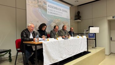 APAL - AG 12.2024