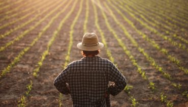 Farmer standing on field with young growth
