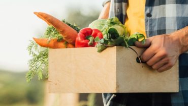 Agricultura_agricultores_agricultura biologica_horta urbana_Depositphotos_402702344_XL (Medium)
