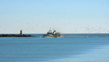 Algarve pesca mar barcos foto arquivo internet