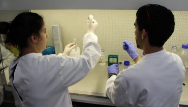 Alunos de Alcoutim em Cursos de Verão das Universidades do Algarve e do Porto_1
