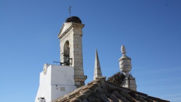 Arco da Vila de Faro_1