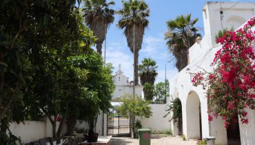 Associacao 289 Faro arte_bc-72