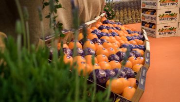 FEIRA_LARANJA_SILVES_28