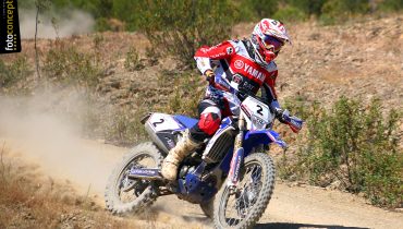 BTA14_0039|BTA14_0433
