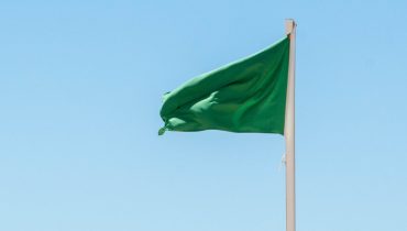 Bandeira verde (1)