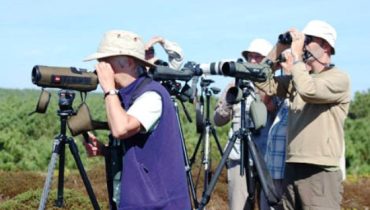 Birdwatching|mapa_eurobirdwatch15