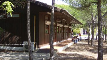Serviços Académicos da Universidade do Algarve
