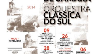 Orquestra Clássica do Sul