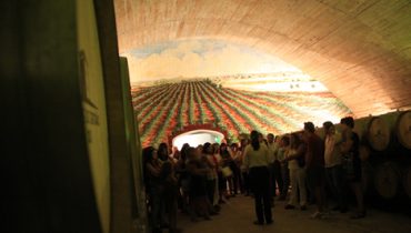 Caves do Esporão|Adega do Esporão|Conferência da ERA-Arqueologia|Homenagem aos professores e assistentes operacionais aposentados|Homenagem aos professores e assistentes operacionais aposentados |Homenagem aos professores e assistentes operacionais aposentados|Homenagem aos professores e assistentes operacionais aposentados|Museu Arqueológico|Receção ao Professor na Herdade do Esporão