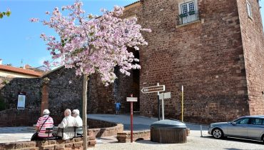 Centro histórico de Silves Torreão