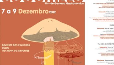 cogumelo|Cogumelos|Bioblitz monchique