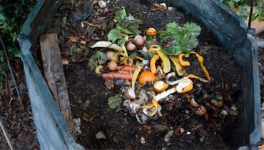 Compostagem