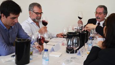 Concurso de vinhos do algarve_01|Concurso de vinhos do algarve_06|Concurso de vinhos do algarve_03|Concurso de vinhos do algarve_05|Concurso de vinhos do algarve_02|Concurso de vinhos do algarve_04|vinhos premiados