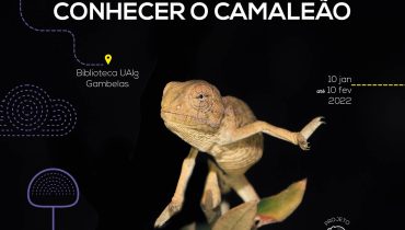 Conhecer o Camaleão