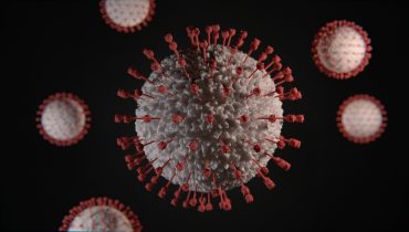 Coronavirus covid 19 27