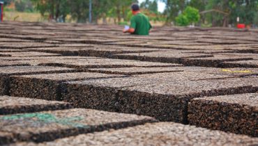 Corticeira Amorim_Silves_er (6)
