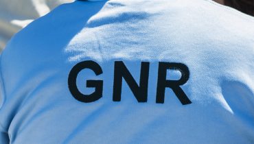 GNR-GD1