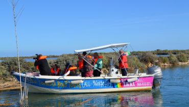 Passeio Ria Formosa