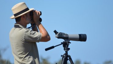 Festival Observação de Aves_bridwatching|observanatura