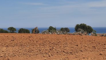 Denúncia relativa ao abate de árvores e movimentação de terras no Parque natural da Ria Formosa-5|Denúncia relativa ao abate de árvores e movimentação de terras no Parque natural da Ria Formosa-4|Denúncia relativa ao abate de árvores e movimentação de terras no Parque natural da Ria Formosa-2|Denúncia relativa ao abate de árvores e movimentação de terras no Parque natural da Ria Formosa-3|16|03 CONDICIONANTES|13|06|10|Denúncia relativa ao abate de árvores e movimentação de terras no Parque natural da Ria Formosa-4 (Medium)|Denúncia relativa ao abate de árvores e movimentação de terras no Parque natural da Ria Formosa-5 (Medium)|Denúncia relativa ao abate de árvores e movimentação de terras no Parque natural da Ria Formosa-8 (Medium)|Denúncia relativa ao abate de árvores e movimentação de terras no Parque natural da Ria Formosa-9 (Medium)|Denúncia relativa ao abate de árvores e movimentação de terras no Parque natural da Ria Formosa-15 (Medium)|Denúncia relativa ao abate de árvores e movimentação de terras no Parque natural da Ria Formosa-16 (Medium)|Denúncia relativa ao abate de árvores e movimentação de terras no Parque natural da Ria Formosa-17 (Medium)|Denúncia relativa ao abate de árvores e movimentação de terras no Parque natural da Ria Formosa-18 (Medium)