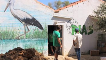 Obras Rias Fundo Ambiental|Obras Rias Fundo Ambiental|Obras Rias Fundo Ambiental|Obras Rias Fundo Ambiental|Obras Rias Fundo Ambiental