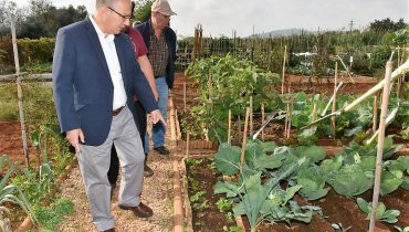 Entrega de 4 talhões nas Hortas Sociais em Loulé - CML - Mira (2)