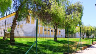Escola Pinheiro e Rosa anamadeira3