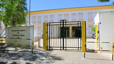 Escola Pinheiro e Rosa anamadeira4