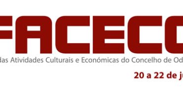 S.Teotonio Faceco 2010
