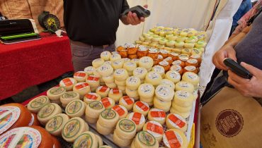 Feira Queijos Enchidos e Vinhos Faro (7)