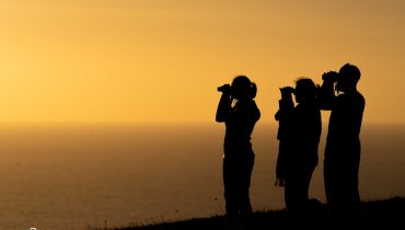 Festival de Birdwatching_Diogo_Oliveira_sunset
