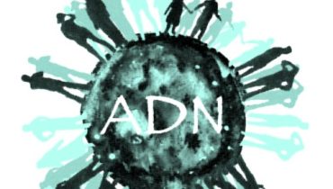 Folheto ADN FACE 1 final net