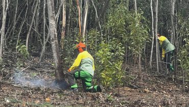 Formação Sapadores Florestais