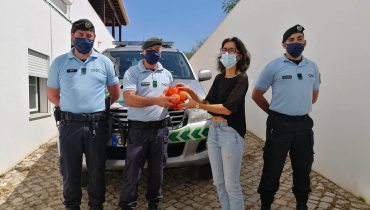 GNR Faro - Apreensão1.jpg (1)|GNR Faro - Apreensão