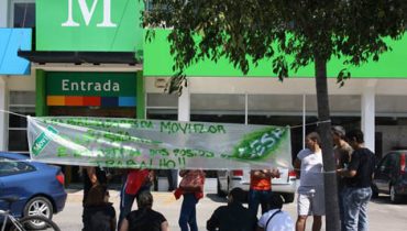 Greve na Moviflor