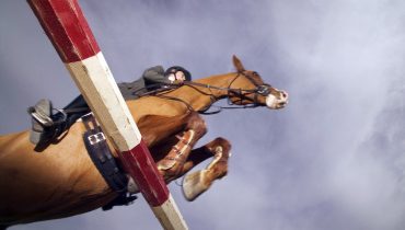 Horse and Rider Show Jumping