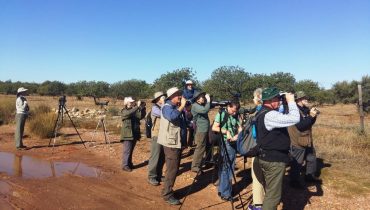 Honeyguide group at Castro Marim|Festival Observação de Aves_birwatching_ganso-patola ou alcatraz|Honeyguide group on pelagic trip 1