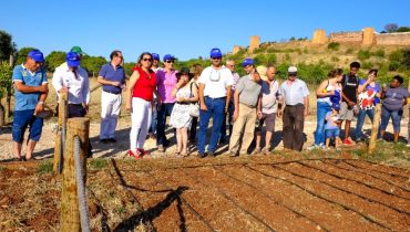 Hortas comunitárias Silves