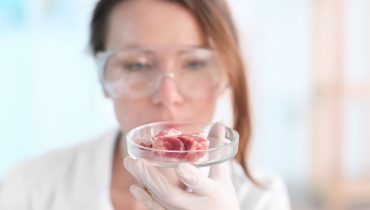 Scientist holding Petri dish with meat sample in laboratory