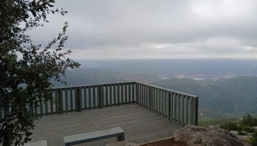IMG-20240112-WA0008|IMG-20240112-WA0009