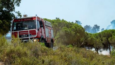 Incêndio Gambelas 13 de Julho_HR (17)