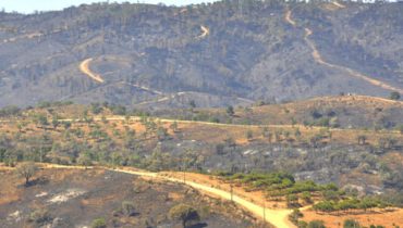 Incêndio na Serra do Caldeirão