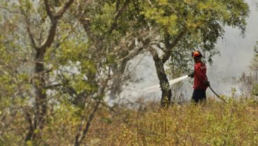 Incêndio no Cachopo|Incêndio em Monchique_29