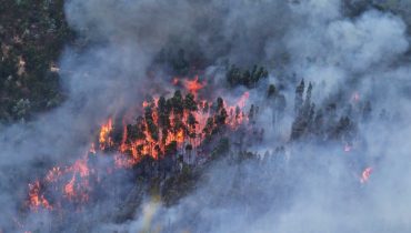 Incendio_floresta_ni (1)