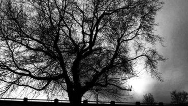 Inverno