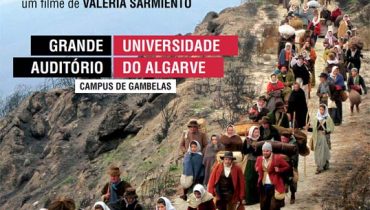Linhas de Wellington