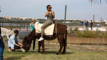 Mostra turismo_Algarve Nature Week_9|Golfinhos